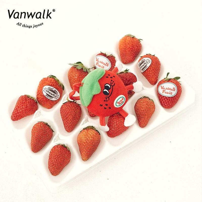Vanwalk cute design bag accessory K159